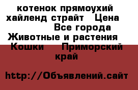 котенок прямоухий  хайленд страйт › Цена ­ 10 000 - Все города Животные и растения » Кошки   . Приморский край